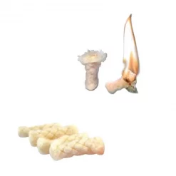 Pierre à Feu Trousse Allume-feu SOL Fire Lite Starting Kit -ÉCLAIRER Soldes Magasin kit allume feu sol fire lite 4